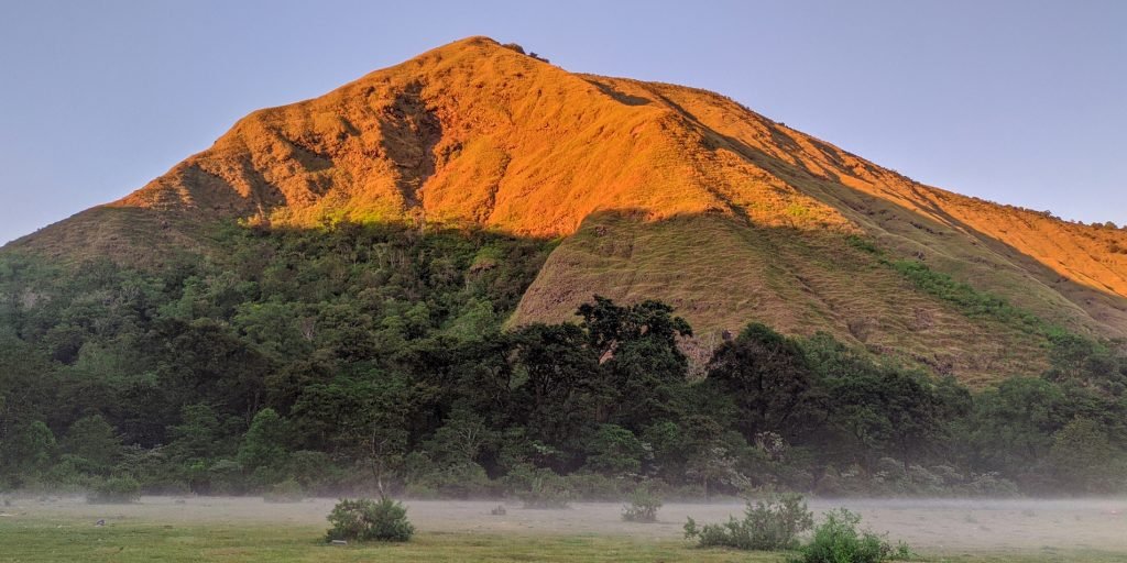 Wildflower Hiking Lombok